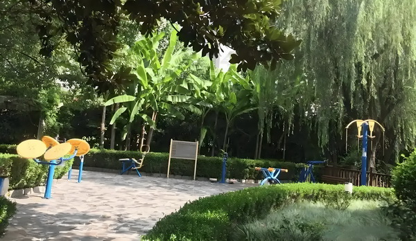 深圳落户毕业生_冯骥荐电影南京照相馆：没有抒情只有血的事实 一辆野猪撞上快车城际